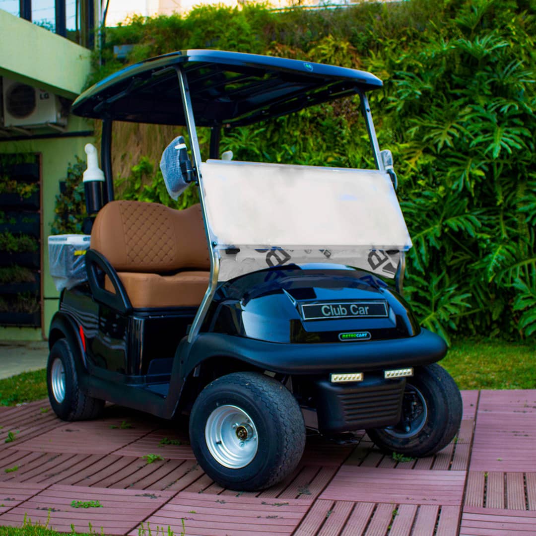 Carrinho elétrico customizado de luxo