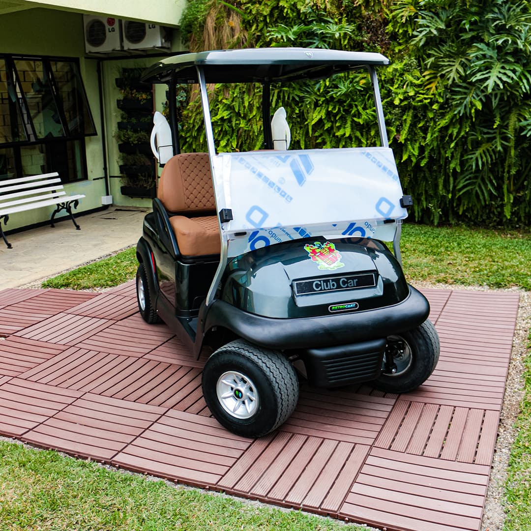 Carrinho elétrico customizado de luxo