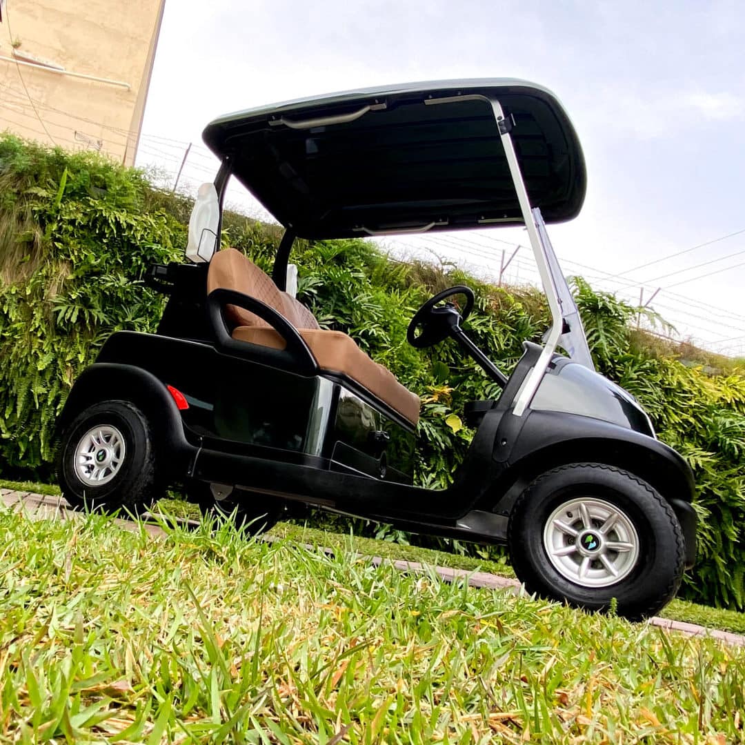 carrinho de golfe 3