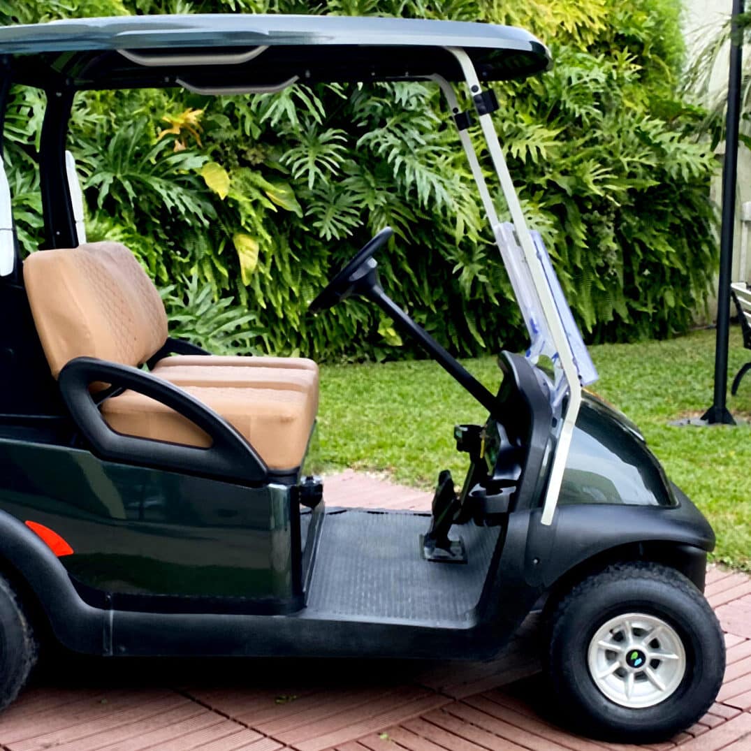 carrinho de golfe 2