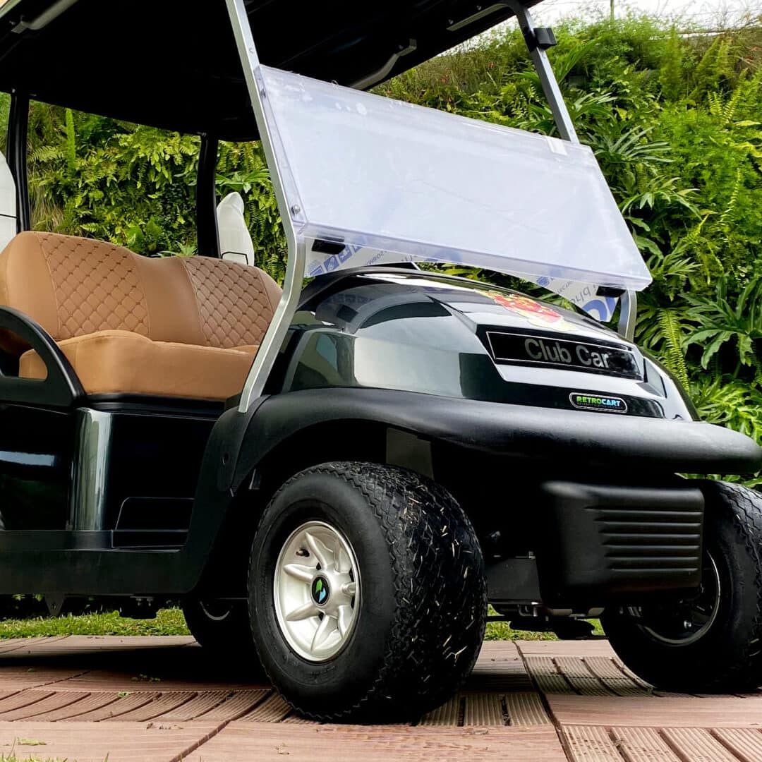 carrinho de golfe 6