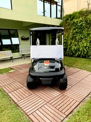 carrinho de golfe 1